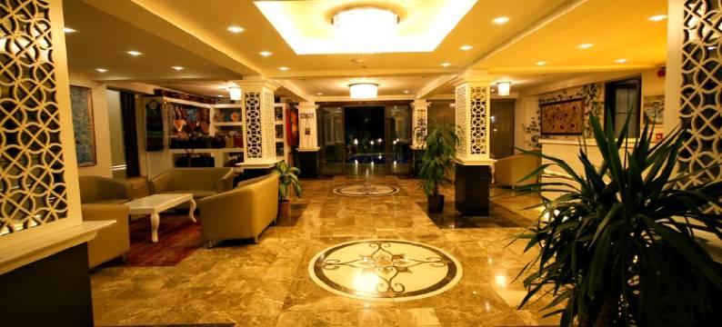 维纳斯套房酒店(Venus Suite Hotel)图片