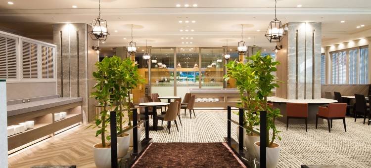 海老名伦勃朗酒店(Rembrandt Hotel Ebina)图片