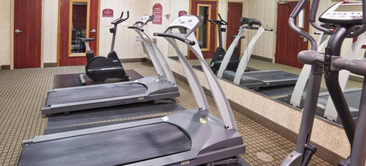 智选假日套房酒店盖恩斯维尔(Holiday Inn Express & Suites Gainesville)图片