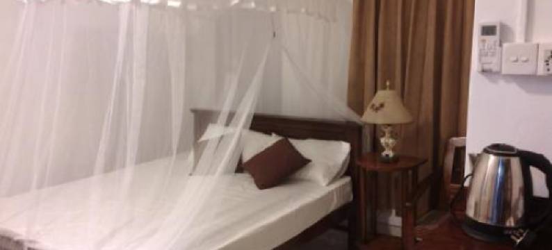 Number 01 by Taprobane图片