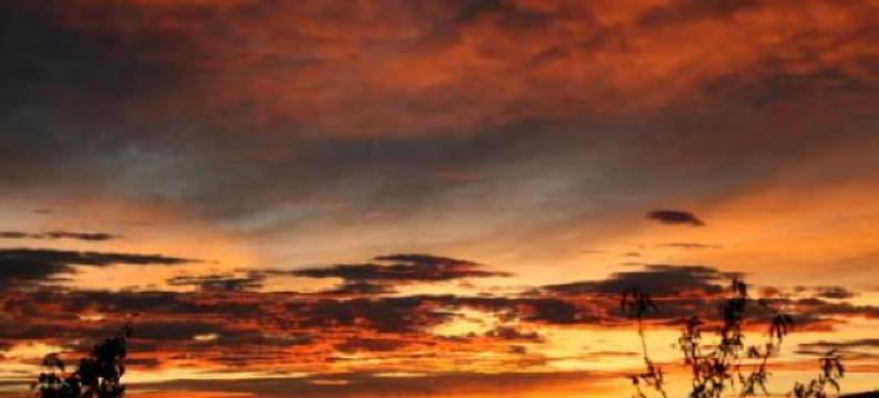 马希娜度假屋(Mahina Cottage)图片