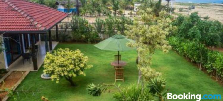 梦幻花园民宿(Dream Garden)图片