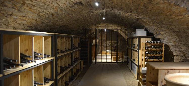 莱斯德舍夫尔酒店 热夫雷-香贝丹(Hôtel les Deux Chèvres Gevrey-Chambertin)图片