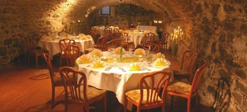 特鲁能巴特尔酒店(Zum Treuen Bartel)图片