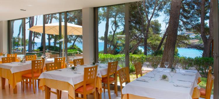 伊波罗之星海浪皮诺斯公园酒店(Iberostar Waves Pinos Park)图片