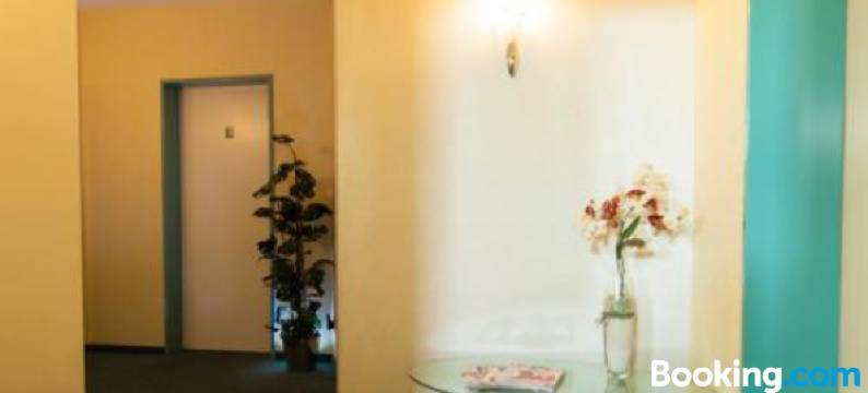 韦德伽尼酒店(Garni-Hotel An der Weide)图片