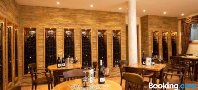 韦恩阔提尔布格花园酒店(Weinquartier Burggarten)图片