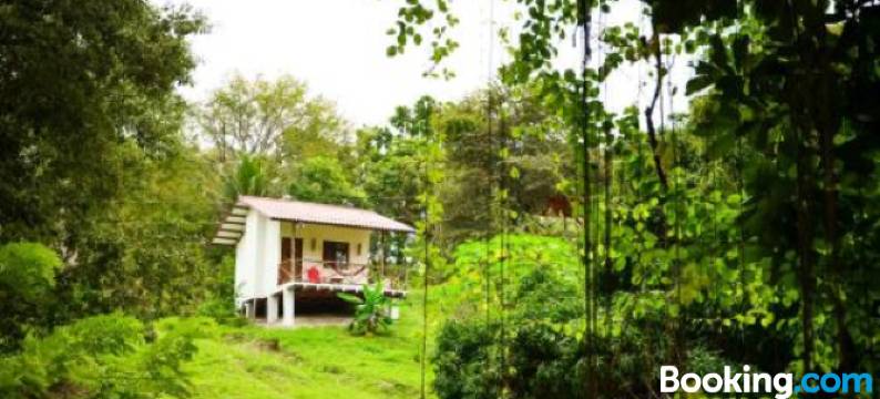 Istmo Beach and Jungle Bungalows图片