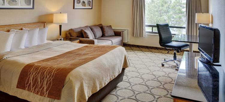 舒适酒店(Comfort Inn Gatineau)图片