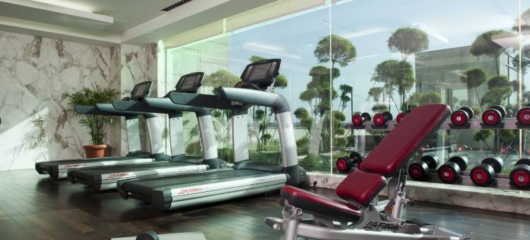 新德里奥卡哈皇冠假日酒店(Crowne Plaza New Delhi Okhla)图片