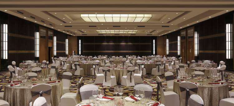 齐普尔通克路洲际酒店(InterContinental Jaipur Tonk Road)图片