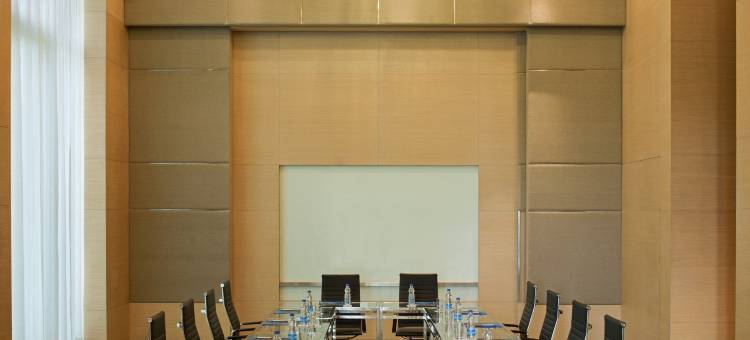 阿姆利则丽笙蓝标酒店(Radisson Blu Hotel Amritsar)图片