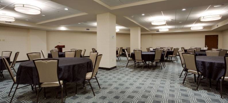 匹兹堡市中心德鲁里广场酒店(Drury Plaza Hotel Pittsburgh Downtown)图片