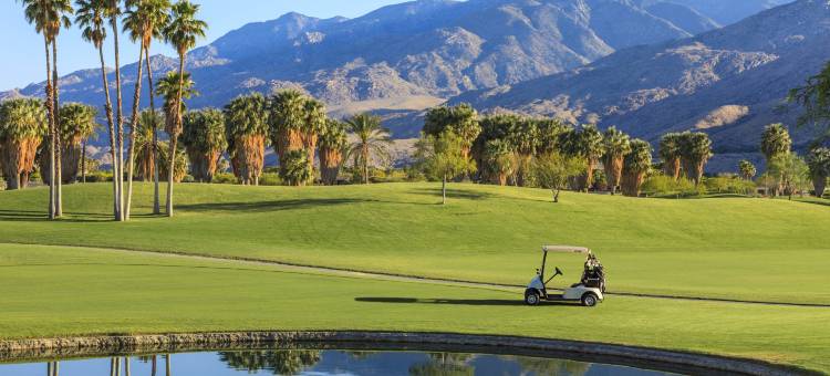 棕榈泉贝斯特韦斯特酒店(Best Western Inn at Palm Springs)图片