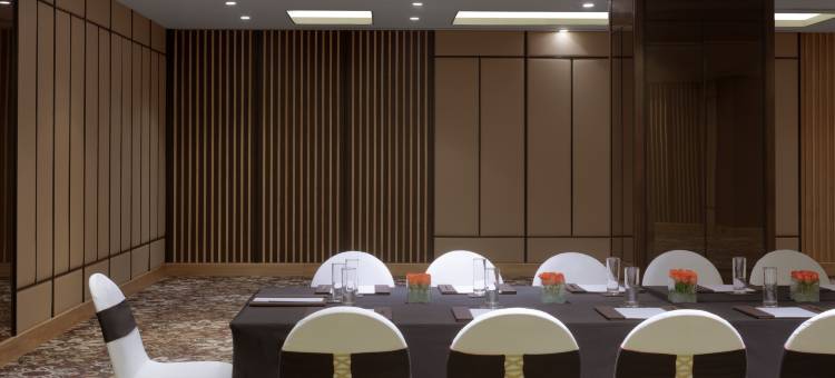 古尔冈优迪格豪尔丽筠酒店(Radisson Gurugram Udyog Vihar)图片