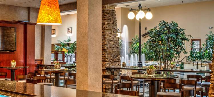 沃斯堡北化石溪丽笙酒店(Radisson Hotel Fort Worth North-Fossil Creek)图片