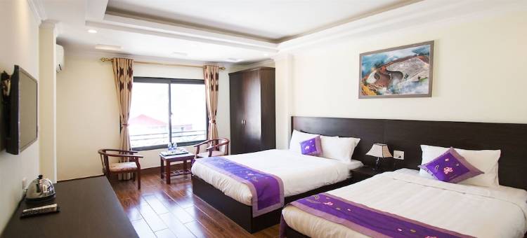 萨帕浪漫酒店(Sapa Romance Hotel)图片