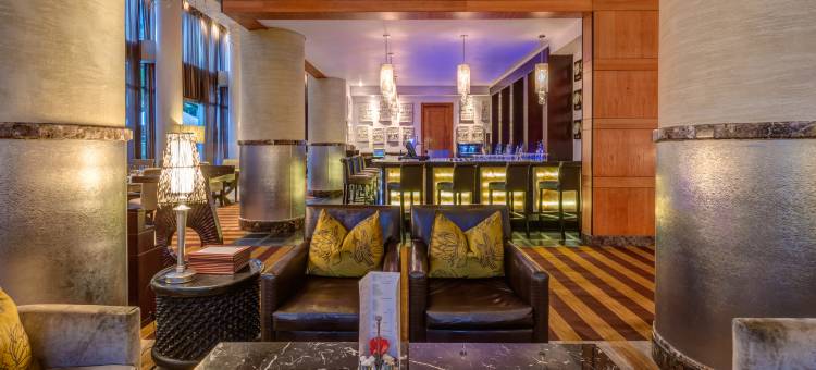 InterContinental Hotels 约翰内斯堡ORTAMBO机场(InterContinental Hotels Johannesburg O.R.Tambo Airport)图片