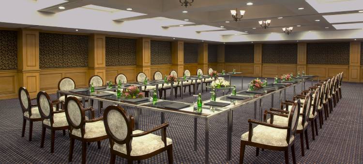 克奇丽笙酒店(Radisson Blu Kochi)图片