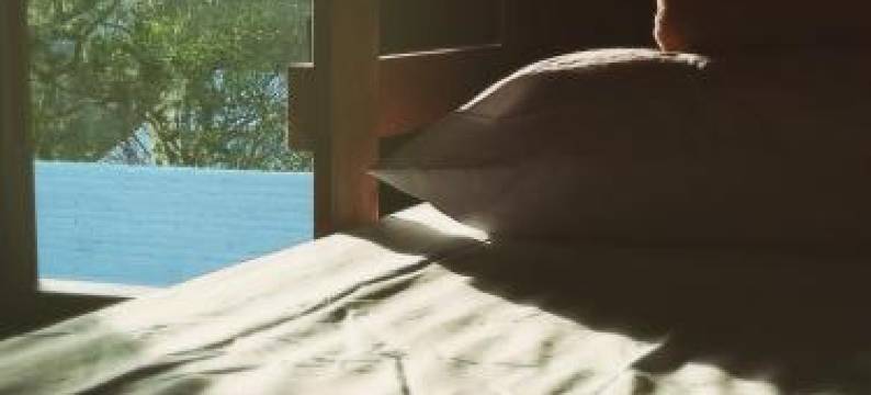 环境小屋旅馆(Vibe House Hostel)图片