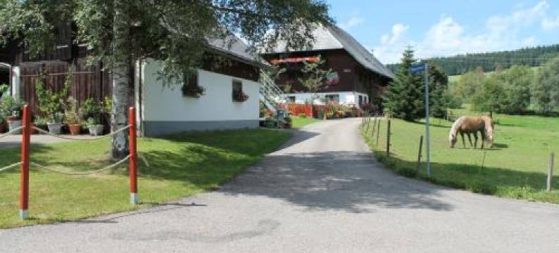 施瓦扎瓦尔德霍夫度假屋(Ferienwohnung Schwarzwaldhof)图片