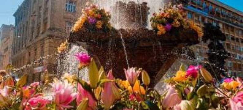 阿摩尼亚公寓(Armonia Apartments)图片