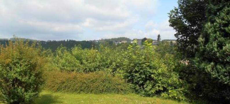 Apartment Blickfang Winterberg图片