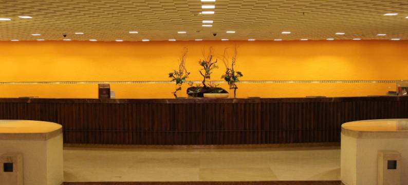 墨西哥城卡米奥里尔波兰科酒店(Camino Real Polanco Mexico)图片