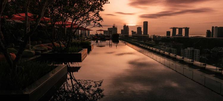 新加坡乌节门JEN酒店 香格里拉集团(Jen Singapore Orchardgateway by Shangri-La)图片