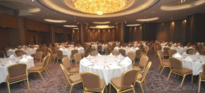 土耳其伊兹密尔比于克艾菲斯瑞士酒店(Swissotel Buyuk Efes Izmir)图片