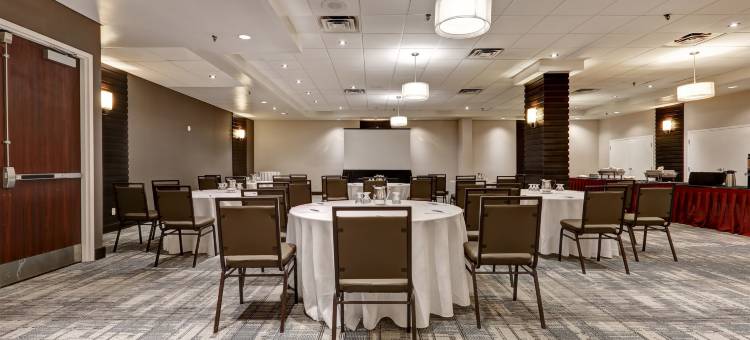 多伦多密西沙加福朋喜来登酒店(Four Points by Sheraton Toronto Mississauga)图片