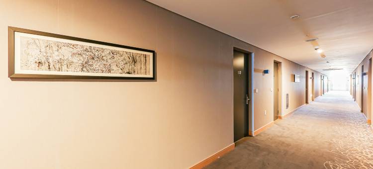 世宗城五松酒店(Sejong City Osong Hotel)图片