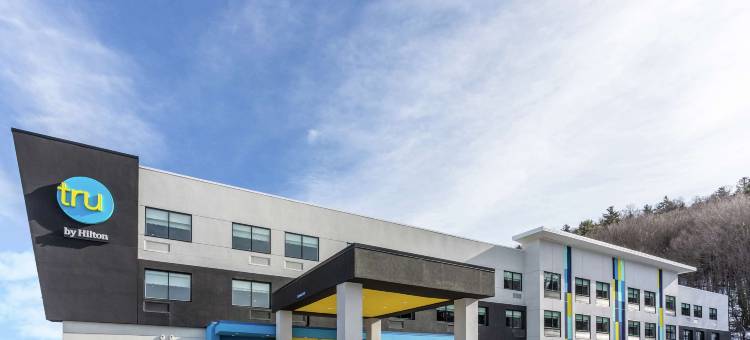 维斯塔尔希尔顿Tru酒店(Tru by Hilton Binghamton Vestal)图片