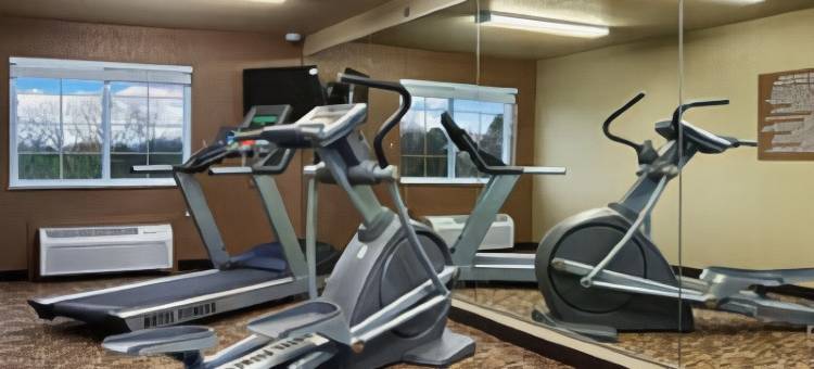 瑟西温德姆麦客达套房酒店(Microtel Inn & Suites by Wyndham Searcy)图片