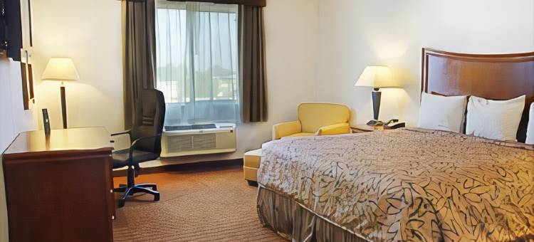 怀利舒适套房酒店(Comfort Inn & Suites Wylie)图片