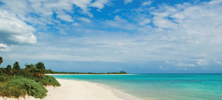 Royal Service at Paradisus La Perla All Inclusive - Adults Only图片