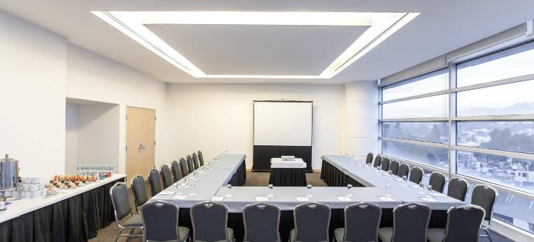 NH瓦勒多拉朵酒店(NH Mexico City Valle Dorado)图片