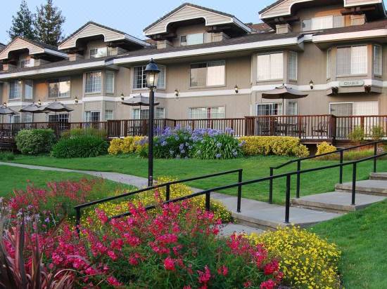 Hilton Sonoma Wine Country Hotel Reviews And Room Rates Trip Com