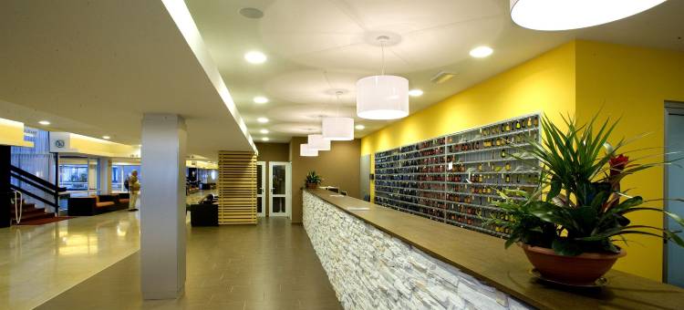 德芬普拉瓦拉古纳酒店(Hotel Delfin Plava Laguna)图片