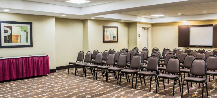 舒适酒店-达拉姆大学查普希尔(Comfort Inn University Durham - Chapel Hill)图片