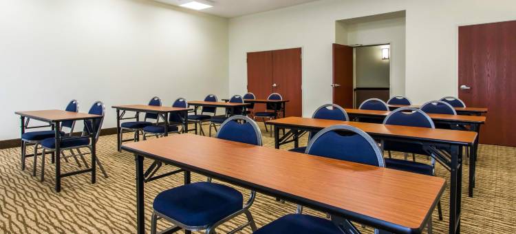 舒适套房酒店(Comfort Inn & Suites)图片