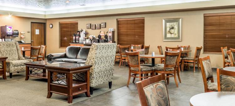 舒适酒店及套房米切尔I-90(Comfort Inn & Suites Mitchell I-90)图片