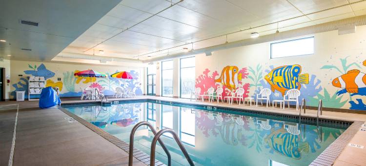 阿连特能源中心克拉丽奥酒店(Clarion Suites Central)图片