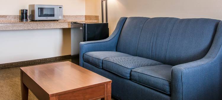 舒适套房酒店(Comfort Suites)图片