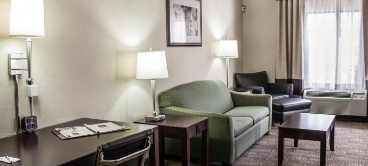 摄政公园舒适套房酒店(Comfort Suites Regency Park)图片