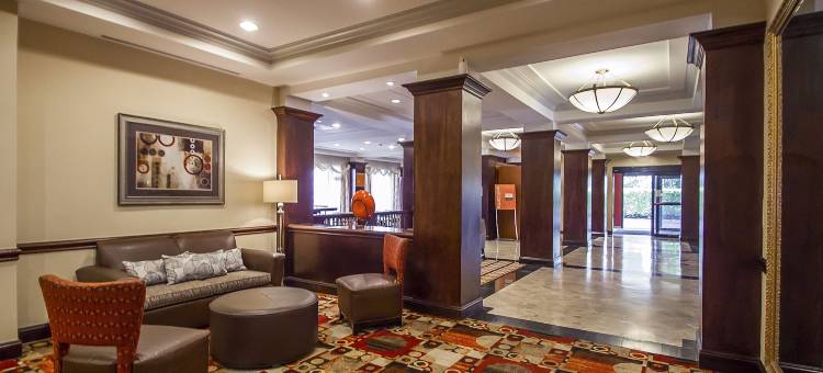 伍德布里奇舒适套房(Comfort Suites at Woodbridge)图片