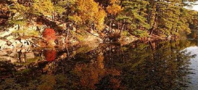 切斯特-门罗-戈申智选假日套房酒店(Holiday Inn Express & Suites Chester-Monroe-Goshen)图片