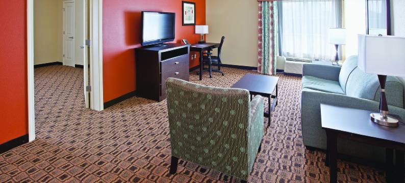 哥伦布爱丁堡拉昆塔温德姆套房酒店(La Quinta Inn & Suites by Wyndham Columbus - Edinburgh)图片