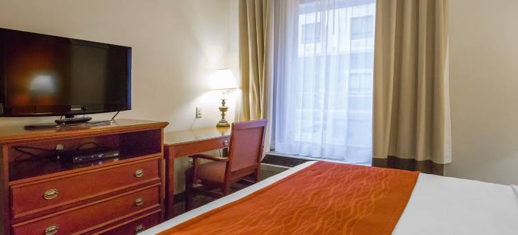 舒适酒店及套房大学(Comfort Inn & Suites University)图片