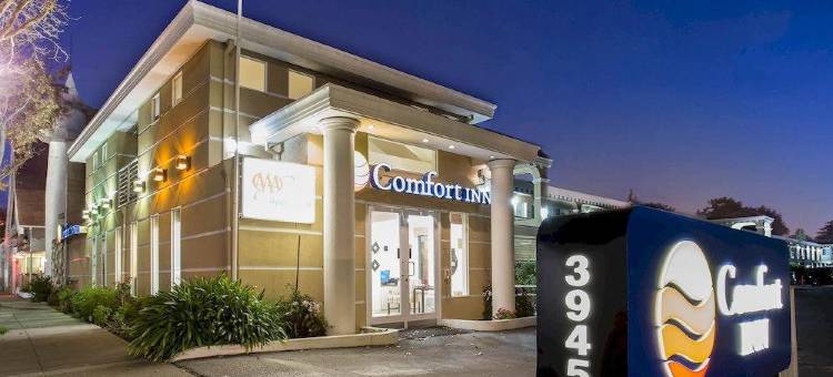 舒适酒店-帕洛阿尔托(Comfort Inn Palo Alto)图片